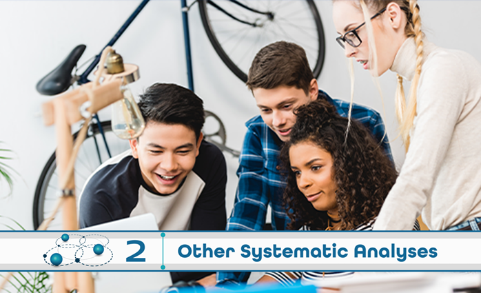 Level 2 Other Systematic Analyses